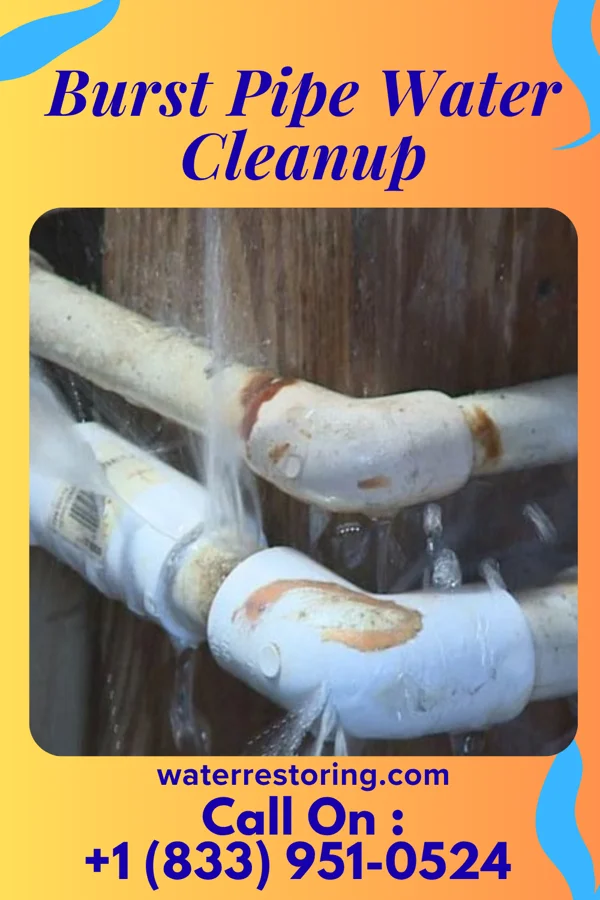 Burst Pipe Water Cleanup in Hunts Point, WA
