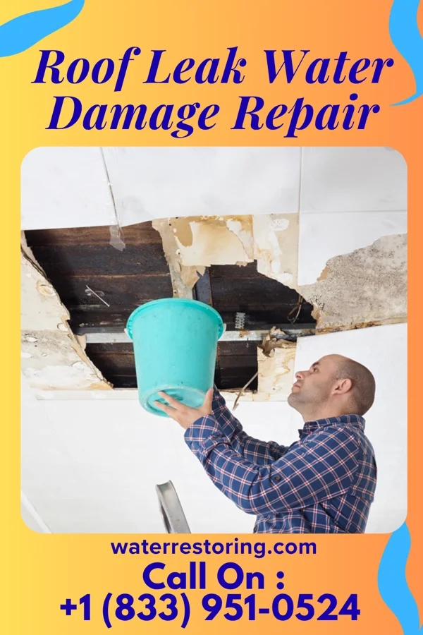 Roof Leak Water Damage Repair in Hunts Point, WA